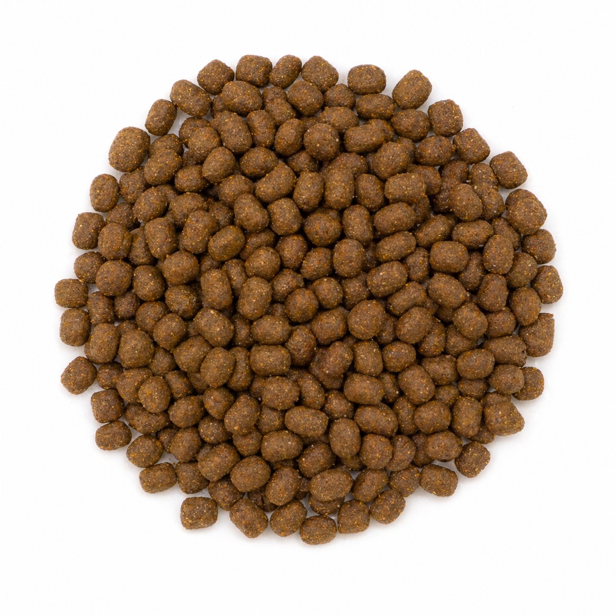 Avantis Mini kibble