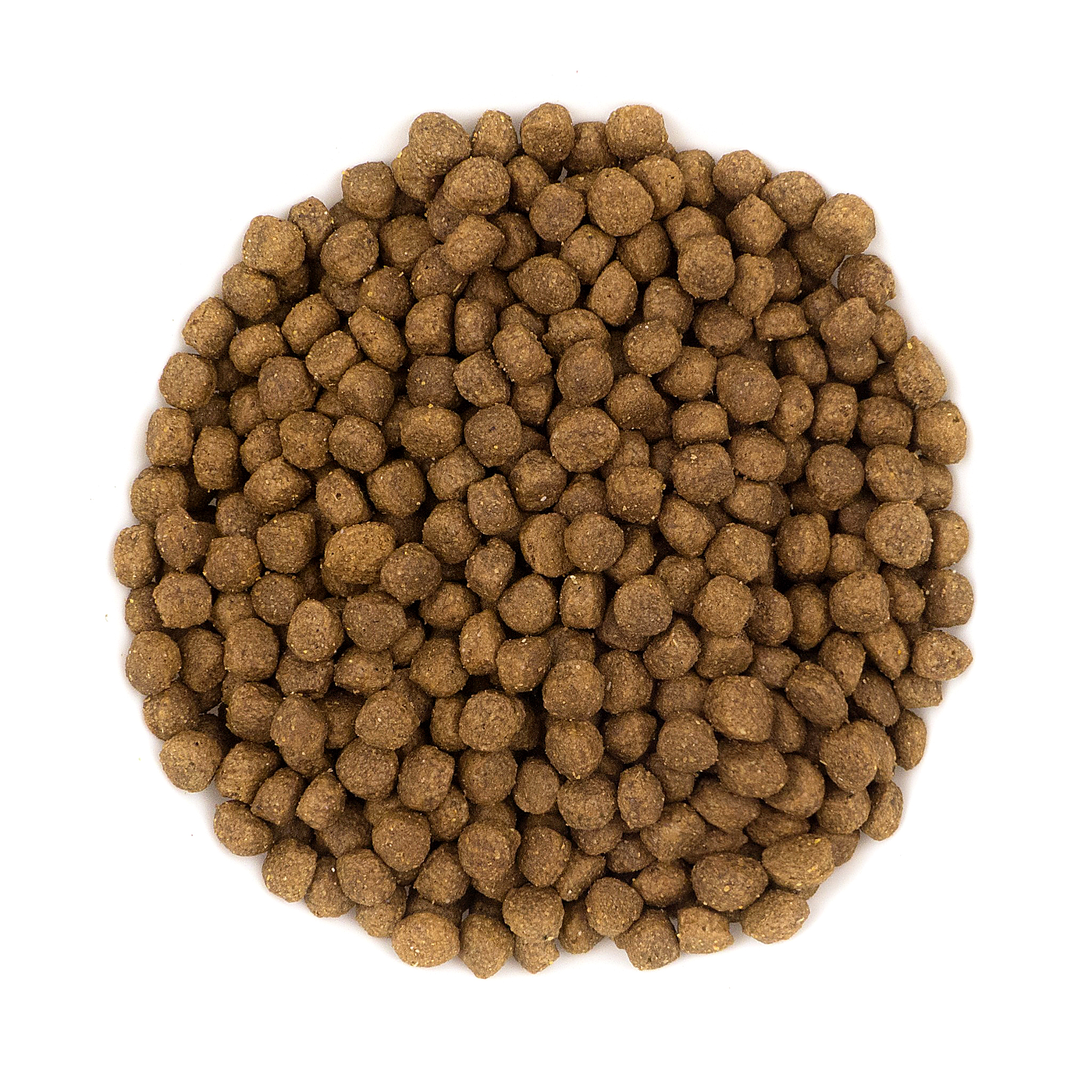 Avantis Puppy kibble
